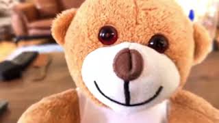 Koş Dino Vız Vız Top Eğlenceli Hareketli Çocuk Şarkısı Dinle Resimi