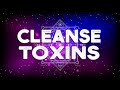 741 hz Removes Toxins and Negativity ! Cleanse Infections ! Boost Immune System ! Cleanse Aura