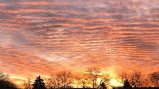 Autumn fall leaves and stratus rib clouds at sunrise in beautiful red color. by Iris Shine 100 views 6 months ago 1 minute, 25 seconds