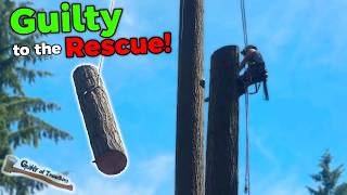 The Other Climber Got Hurt… So I Finished His 130ft Tree