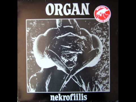 Organ - For Next (1982)