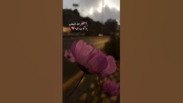 أَفَلَا يَتُوبُونَ إِلَى اللَّهِ وَيَسْتَغْفِرُونَهُ ۚ |القارئ عبدالرحمن مسعد.