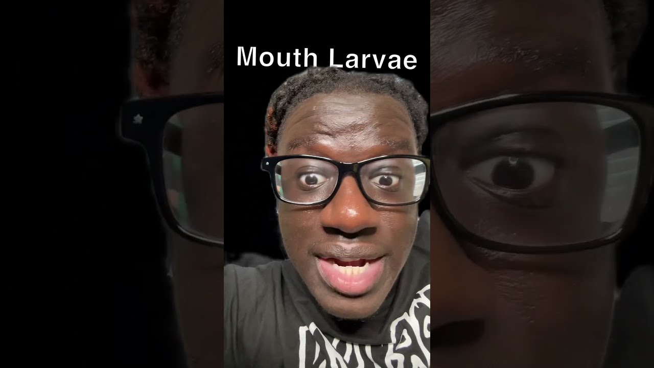 TOP 4 SCARIEST THINGS YOU SHOULD NEVER SEARCH UP ON GOOGLE 