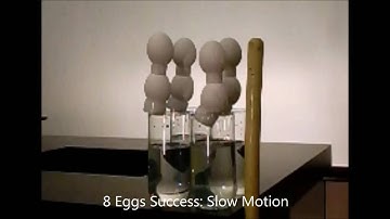 Inertia Demonstration - 8 Eggs