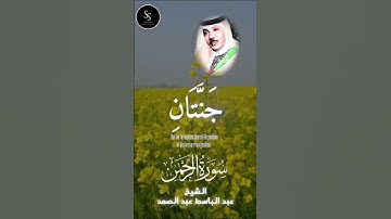 🥰 الشيخ عبدالباسط عبدالصمد ❤️ | سورة الرحمن #i #islam #islamic #quran #قران_كريم #اكسبلور #explore