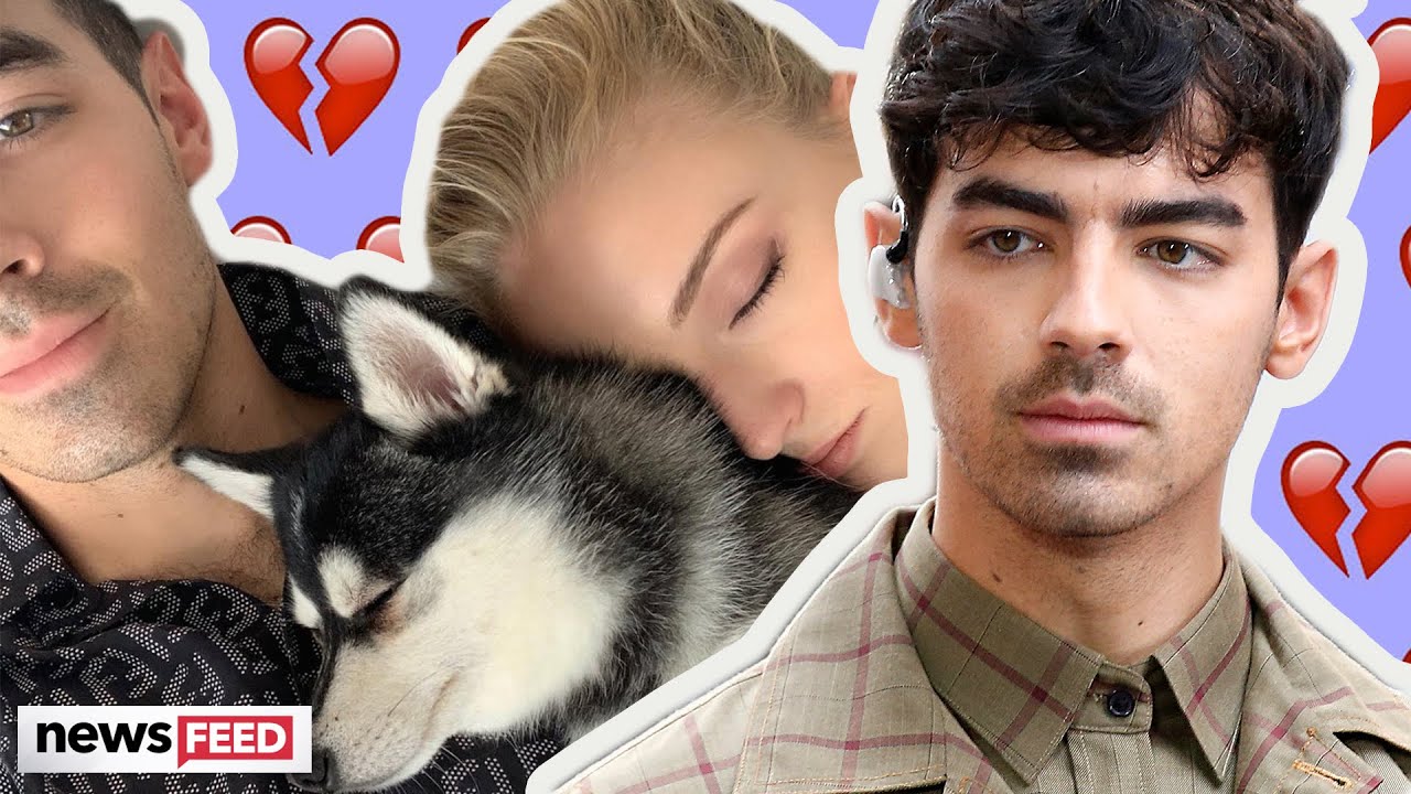 jonas black dog trainer controversy jonas black dog trainer controversy