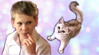 ИСТОРИЯ о том, как КОЛЯ РАЗВЕСЕЛИЛ кошку. ИСТОРИЯ о том, как КОЛЯ РАЗВЕСЕЛИЛ кошку.
