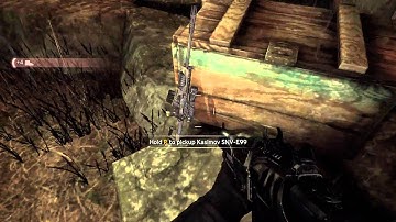 Singularity - MIR-12