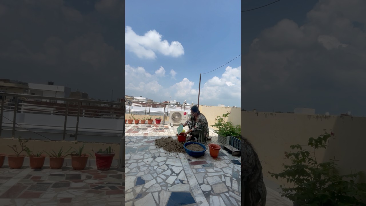 Soil mix for vegetables and houseplants 🌿🪴 #gardening #shorts #short #ytshorts