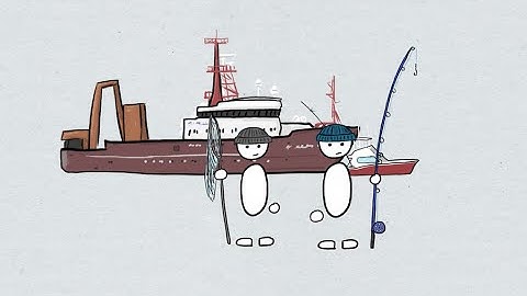 Fisheries Economics & Policy: A Closer Look at Fisheries