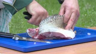 Instruktážní video zpracování ryb - kapr a pstruh