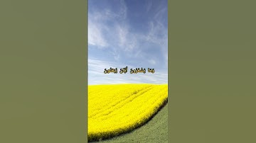 سورة النمل- آية (65) #اسلام_صبحي #سورة_النمل #تدبر #آية #القرآن_الكريم #آيات