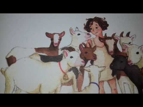 ჰაიდი 1 ნაწილი