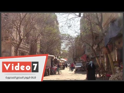 بالفيديو بركة الفيل من نزهة لرؤية الأفيال لأكبر منطقة سكنية فى السيدة زينب