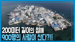 세계 최고의 인구밀도, 산타 크루즈섬 (KBS_242회_2021.12.11.방송)