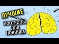 Лучшие Ноотропы для Новичка