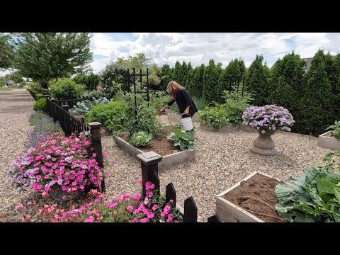 Preparing Lunch From the Garden + Fertilizing Vegetables Plants! ??? // Garden Answer