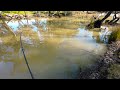 Bait fishing in Broken Creek