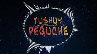 Vignette de la vidéo "TUSHUY PEGUCHE-POR MAS LEJOS"