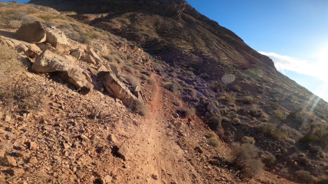 David Flowie/ Brokeback Mtn/ Bears Best YouTube