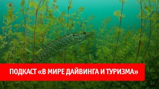 44. Подводная охота: истинные поклонники и просто любители