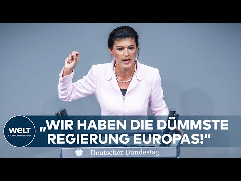 ?Wie bescheuert ist das denn? Wir haben die dmmste Regierung Europas!? WAGENKNECHT teilt aus