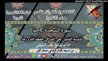 سورة السجدة كاملة للشيخ الحافظ يحيى القباطي حفظه الله ورعاه محاكاة لماهر المعيقلي