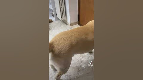 Colpo Di Scena❤️❤️❤️