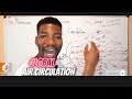 Global Air Circulation Patterns and Their Impact on Weather
