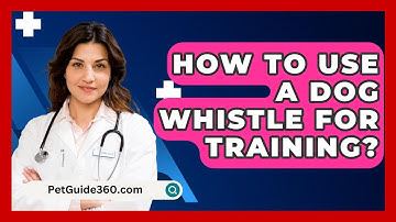 How To Use A Dog Whistle For Training? - PetGuide360.com