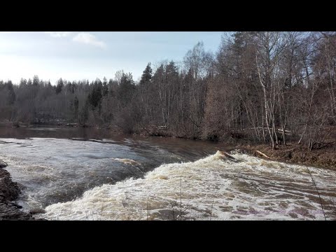 Abavas rumba. Абавас румба 21 февраля 2019 - YouTube