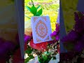 يا مسلمين صلو على النبي يا مسلمين صلو على النبي