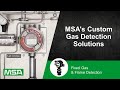 Msas custom gas detection solutions