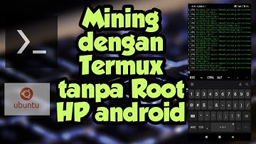 Cara Mining dengan Termux tanpa root hp Android - menambang Lokicoin