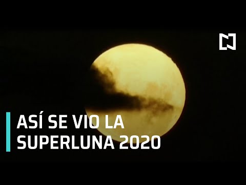 Así se vio la superluna rosa 2020 en el mundo - Despierta