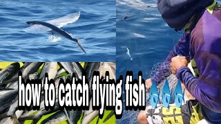 catching flying fish(davao occidental Sea)