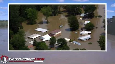 Bellevue Water Damage Repair