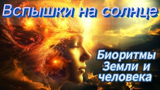 Вспышки на солнце. Биоритмы Земли и человека и его психоэмоциональное состояние.