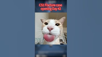 CS2 Fracture Case opening Day 42 #csgo #cs2case #cs2caseopeninng #cs2caseopening