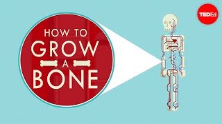 How To Grow A Bone - Nina Tandon