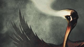 Code Noir - Supersonic