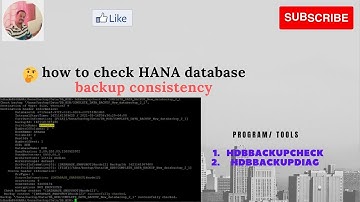 HANA DB backup consistency check tools | HDBBACKUPCHECK | HDBBACKUPDIAG
