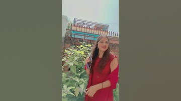 #bollywood #music #love #pyar mein Jahan mein Rakha Hai#youtubeshorts