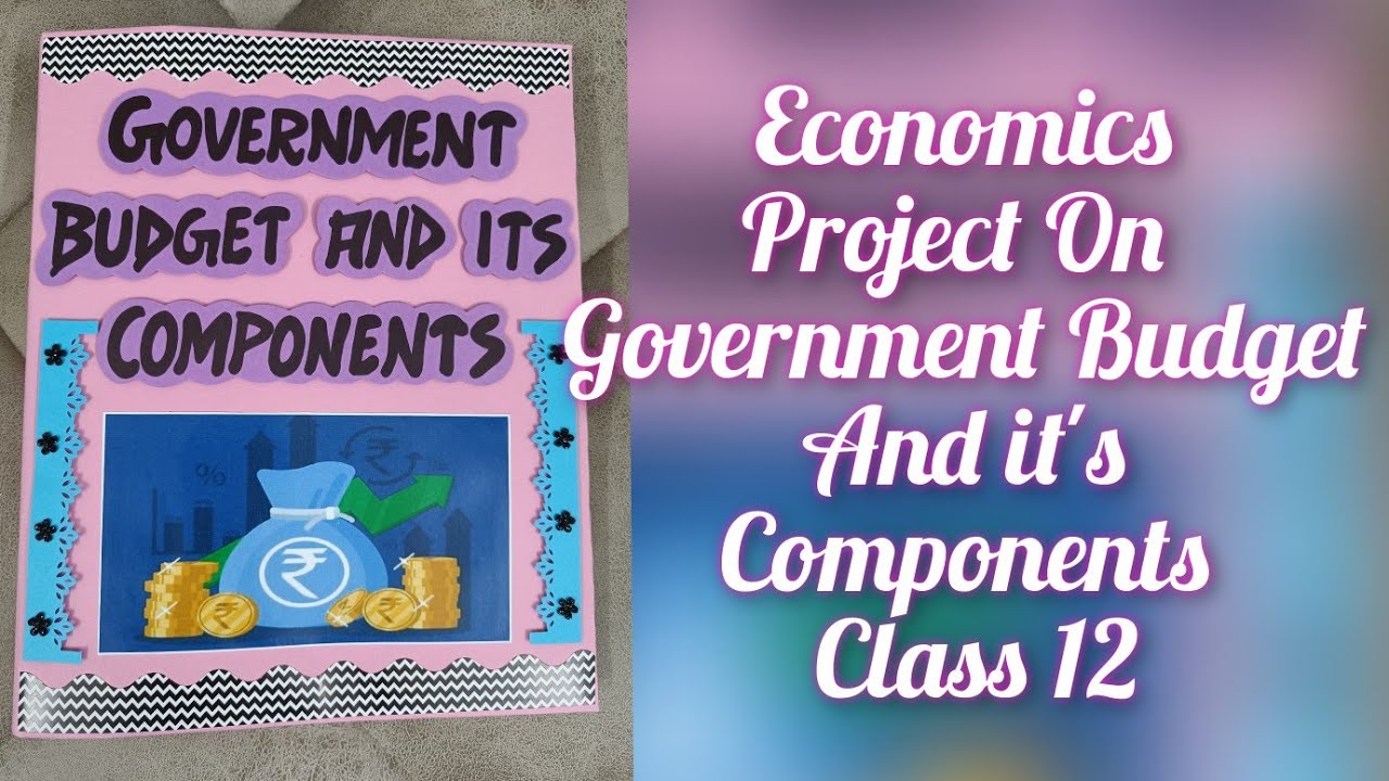 government budget assignment class 12