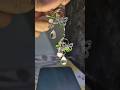 Handmade Earing || Wire Jewelry ||