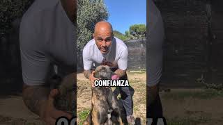 ayuda a superar sus miedos