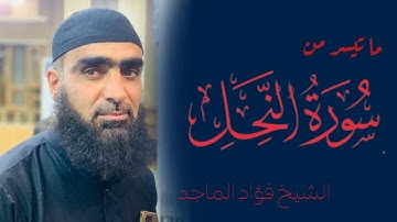 الشيخ فؤاد الماجد صلاة التراويح | ما تيسر من سورة النحل