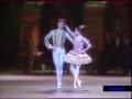 Don Quixote 1981 - PDD fragment - Nureyev, Noella Pontois