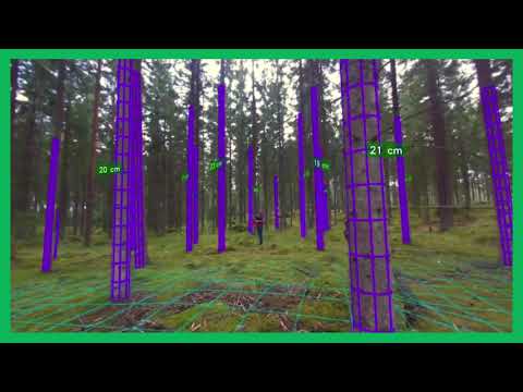 Forest measurement by autonomous drone