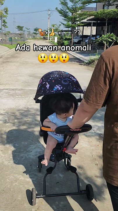 🍌   🐒 = . . . .